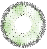 Deep Green